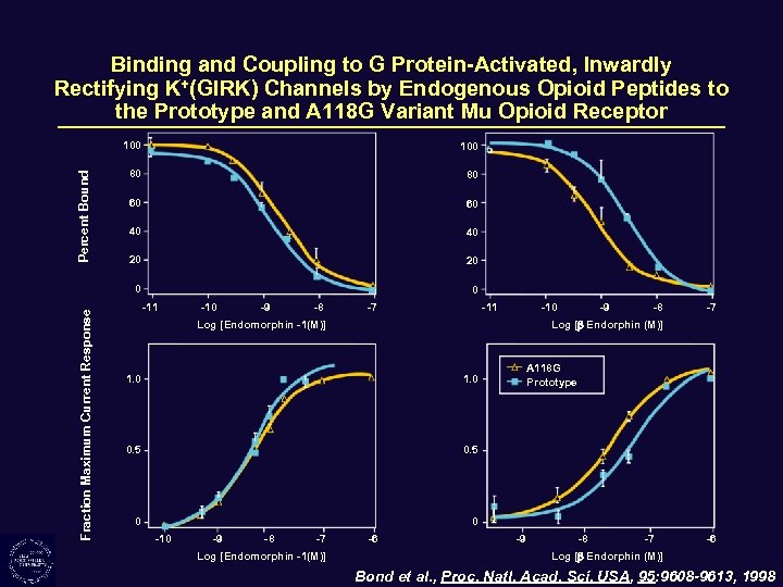 Binding and Coupling to G Protein-Activated, Inwardly Rectifying K+(GIRK) Channels by Endogenous Opioid Peptides