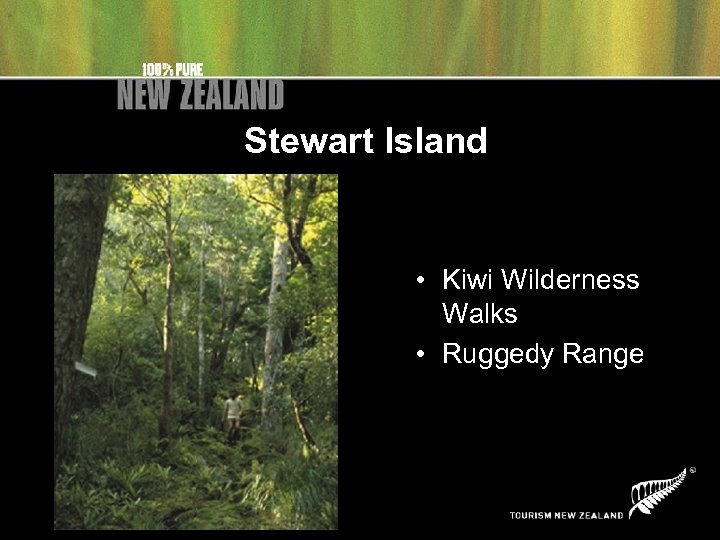 Stewart Island • Kiwi Wilderness Walks • Ruggedy Range 