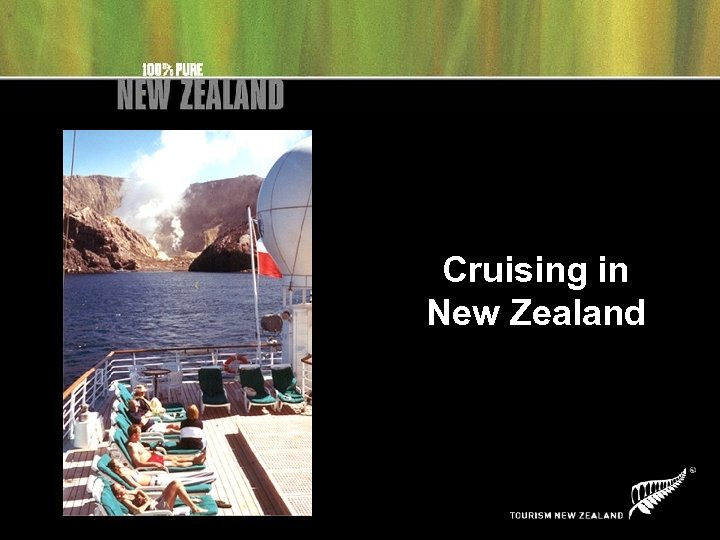 Cruising in New Zealand 