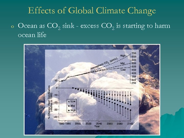 Effects of Global Climate Change o Ocean as CO 2 sink - excess CO