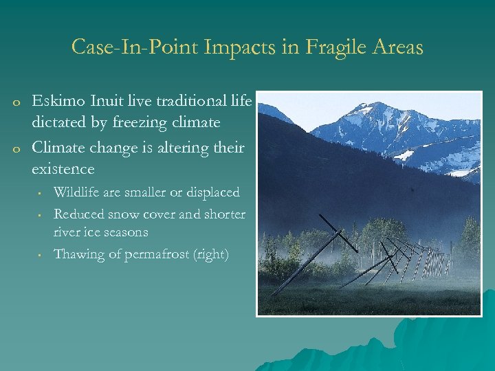Case-In-Point Impacts in Fragile Areas o o Eskimo Inuit live traditional life dictated by