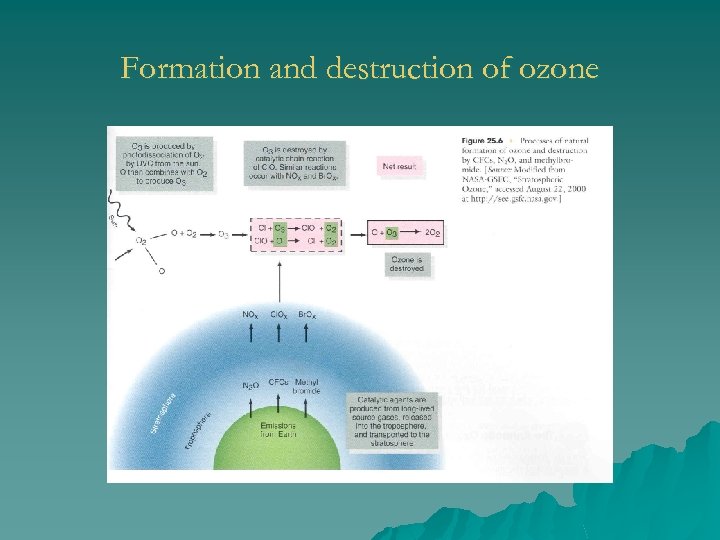 Formation and destruction of ozone 