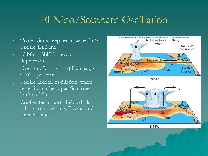 El Nino/Southern Oscillation o o o Trade winds keep warm water in W. Pacific.