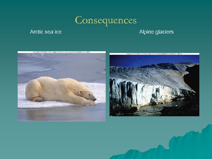 Consequences Arctic sea ice Alpine glaciers 