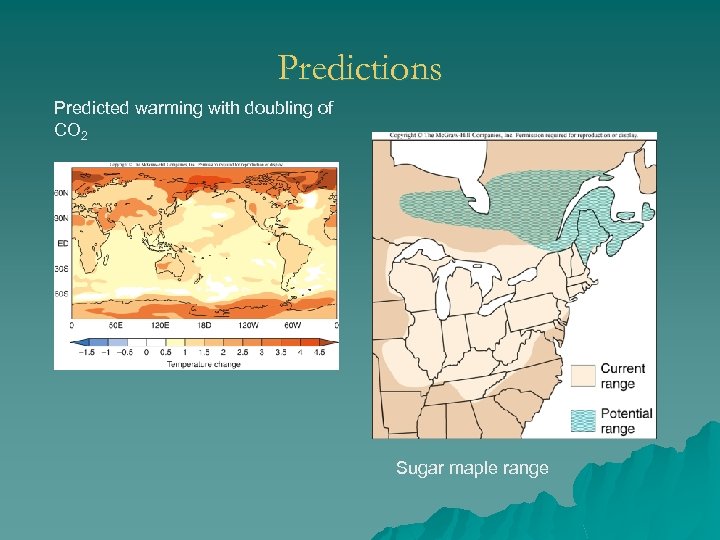 Predictions Predicted warming with doubling of CO 2 Sugar maple range 
