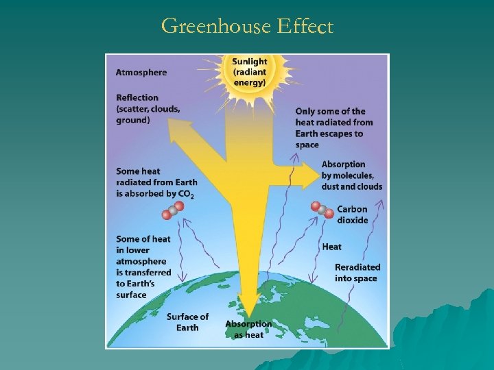 Greenhouse Effect 