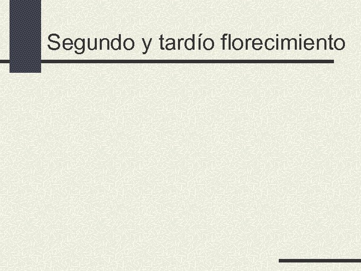 Segundo y tardío florecimiento 