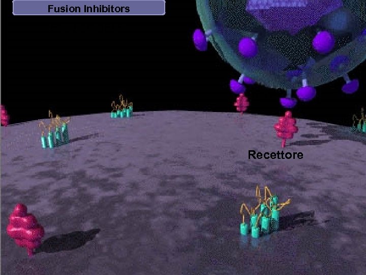 Fusion Inhibitors Enfuvirtide (ENF) gp 120 Recettore 