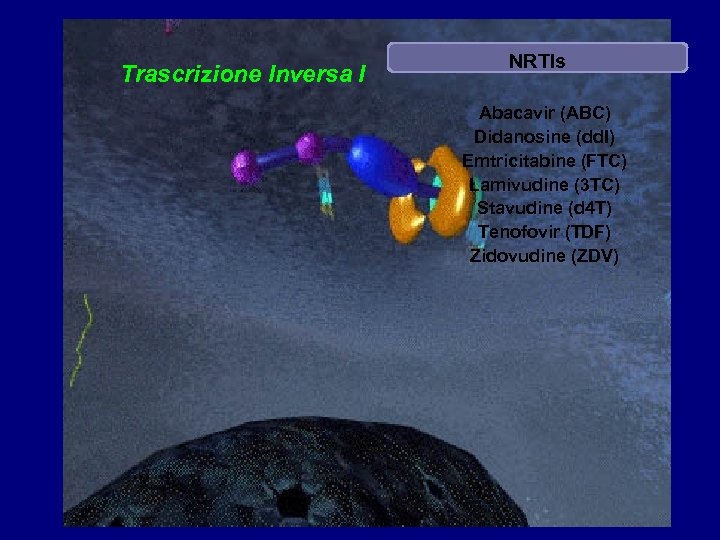 Trascrizione Inversa I NRTIs Abacavir (ABC) Didanosine (dd. I) Emtricitabine (FTC) Lamivudine (3 TC)