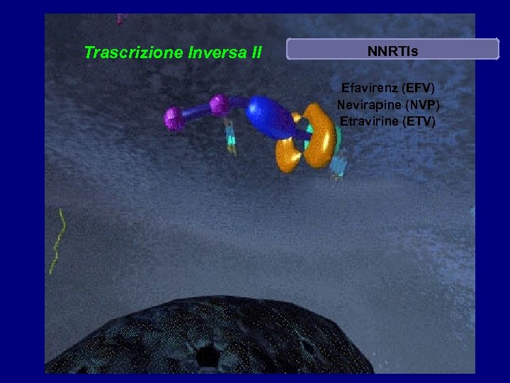 Trascrizione Inversa II NNRTIs Efavirenz (EFV) Nevirapine (NVP) Etravirine (ETV) 