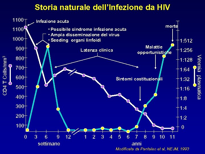 Storia naturale dell’Infezione da HIV 1100 Infezione acuta 1100 1000 900 1: 512 Malattie