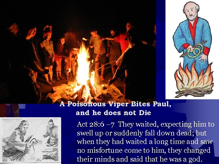 A Poisonous Viper Bites Paul, and he does not Die Act 28: 6 –