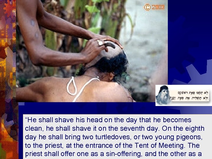  “He shall shave his head on the day that he becomes clean, he