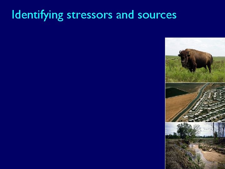 Identifying stressors and sources 