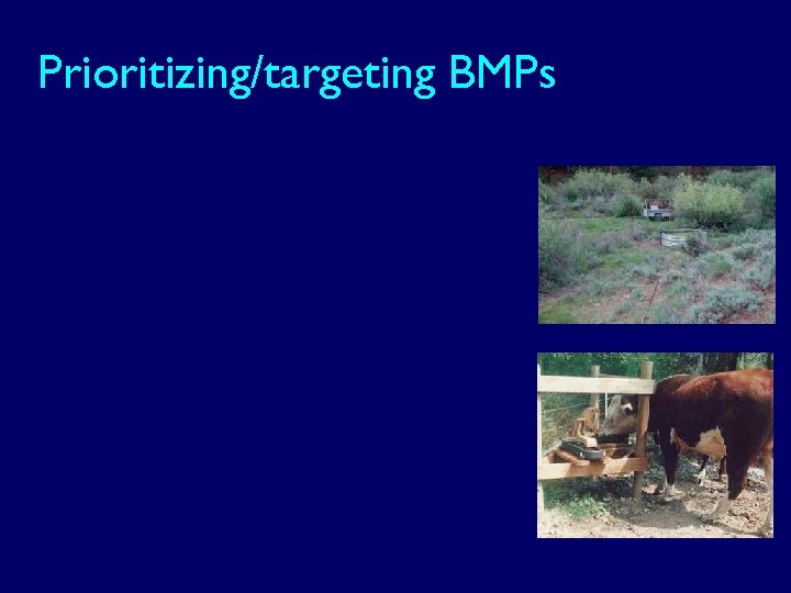 Prioritizing/targeting BMPs 