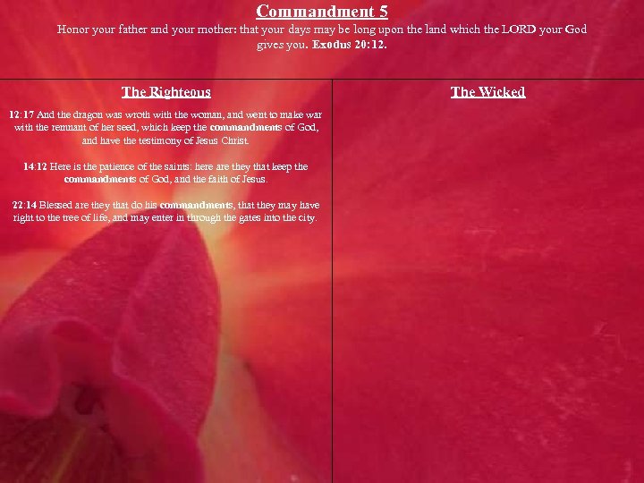 Commandment 5 Honor your father and your mother: that your days may be long