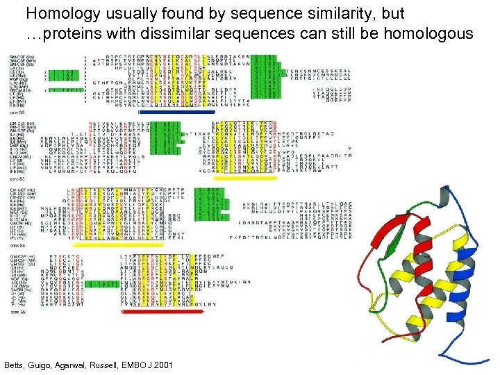 Homology usually found by sequence similarity, but …proteins with dissimilar sequences can still be