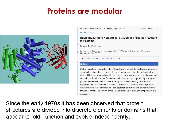 Proteins are modular Since the early 1970 s it has been observed that protein