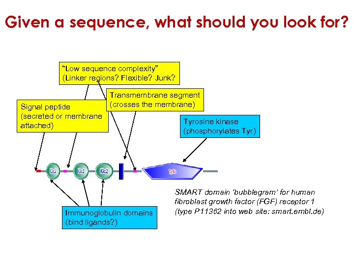 Given a sequence, what should you look for? “Low sequence complexity” (Linker regions? Flexible?