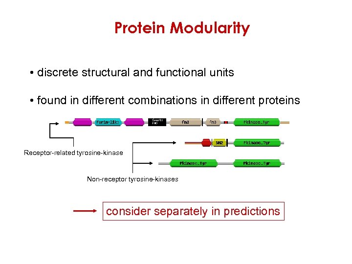 Protein Modularity • discrete structural and functional units • found in different combinations in