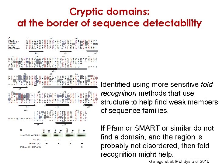 Cryptic domains: at the border of sequence detectability Identified using more sensitive fold recognition