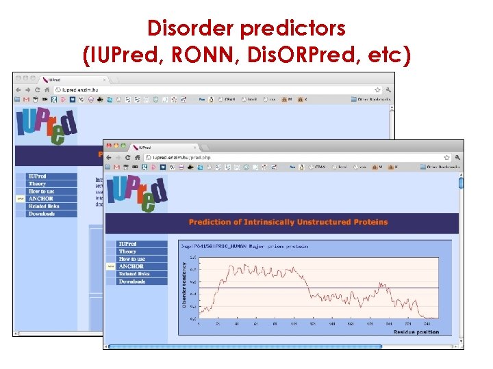 Disorder predictors (IUPred, RONN, Dis. ORPred, etc) 