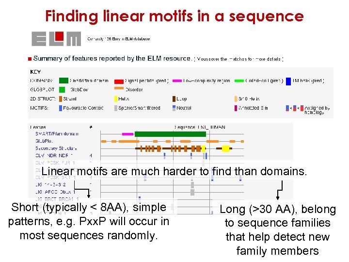 Finding linear motifs in a sequence Linear motifs are much harder to find than