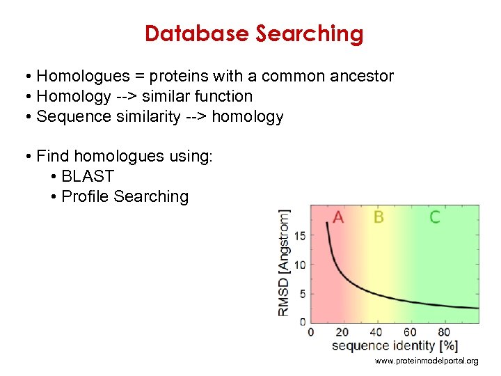 Database Searching • Homologues = proteins with a common ancestor • Homology --> similar