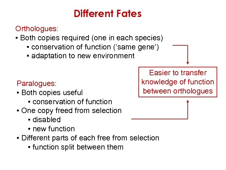 Different Fates Orthologues: • Both copies required (one in each species) • conservation of