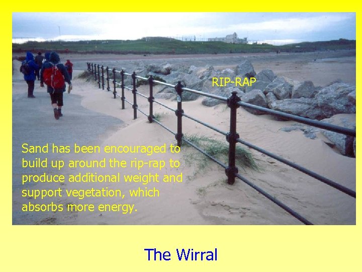 RIP-RAP Sand has been encouraged to build up around the rip-rap to produce additional