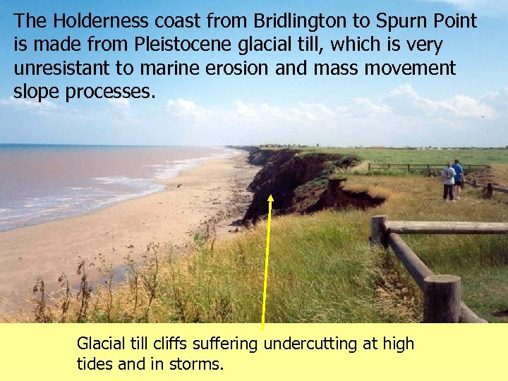 The Holderness coast from Bridlington to Spurn Point is made from Pleistocene glacial till,