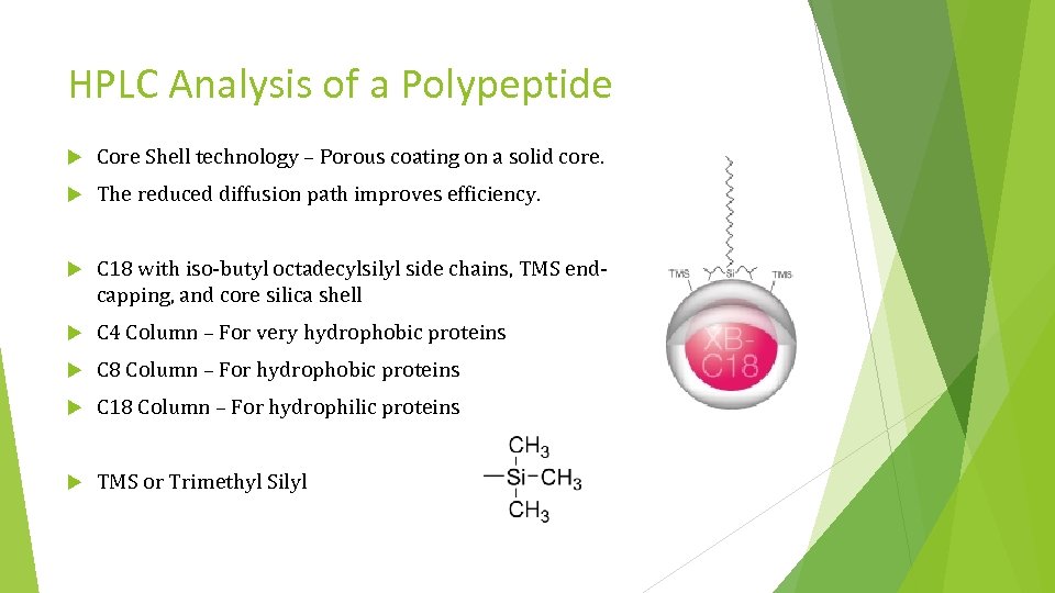 HPLC Analysis of a Polypeptide Core Shell technology – Porous coating on a solid