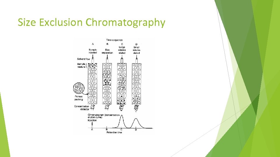 Size Exclusion Chromatography 