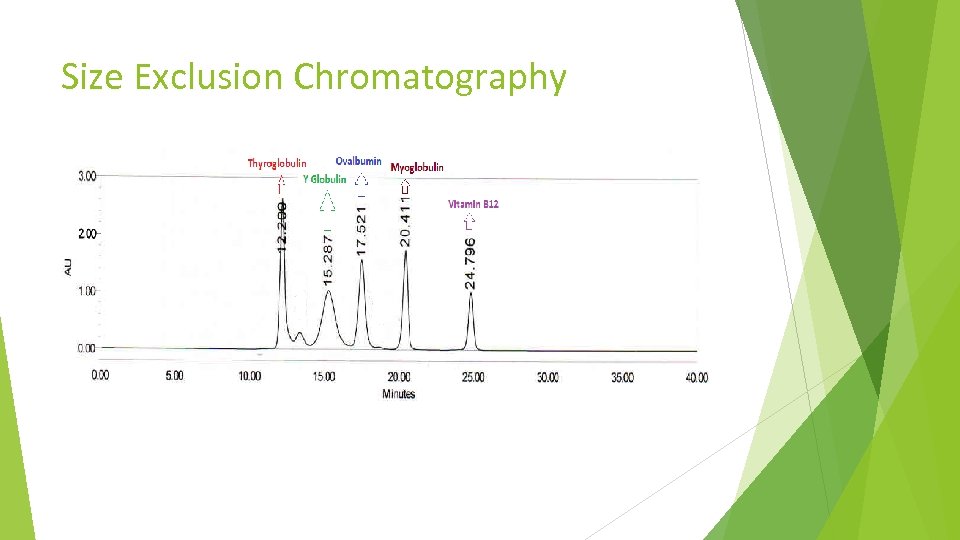 Size Exclusion Chromatography 