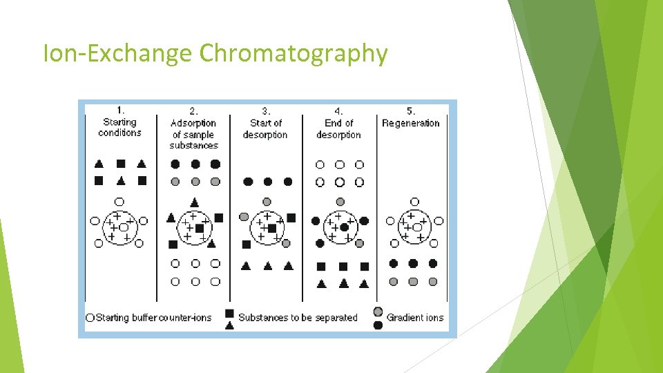 Ion-Exchange Chromatography 