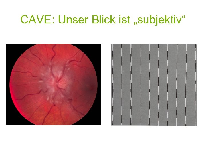 CAVE: Unser Blick ist „subjektiv“ 