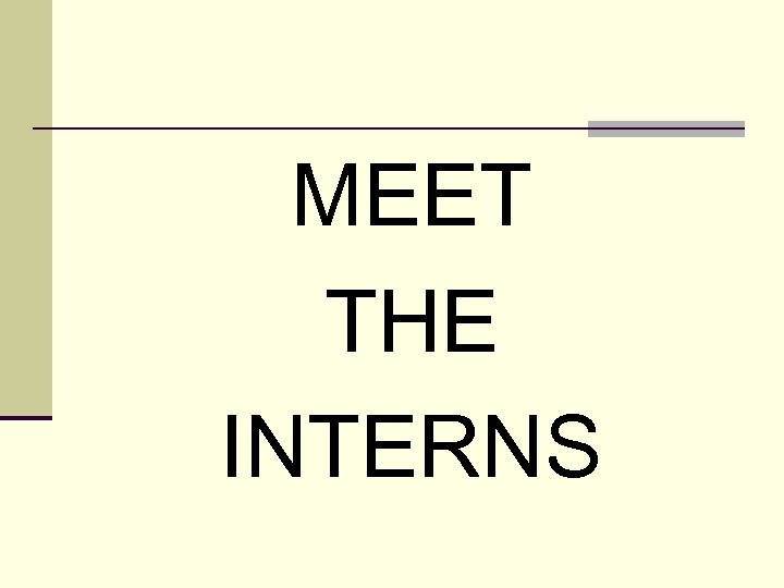 MEET THE INTERNS 