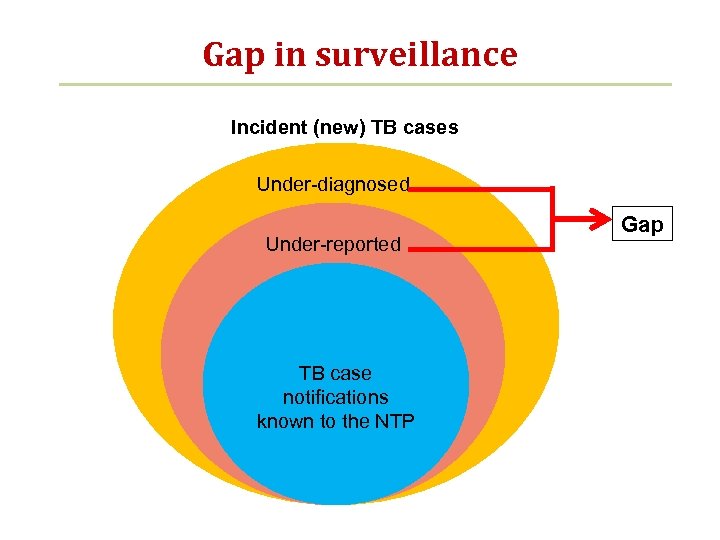 Gap in surveillance Incident (new) TB cases Under-diagnosed Under-reported TB case notifications known to