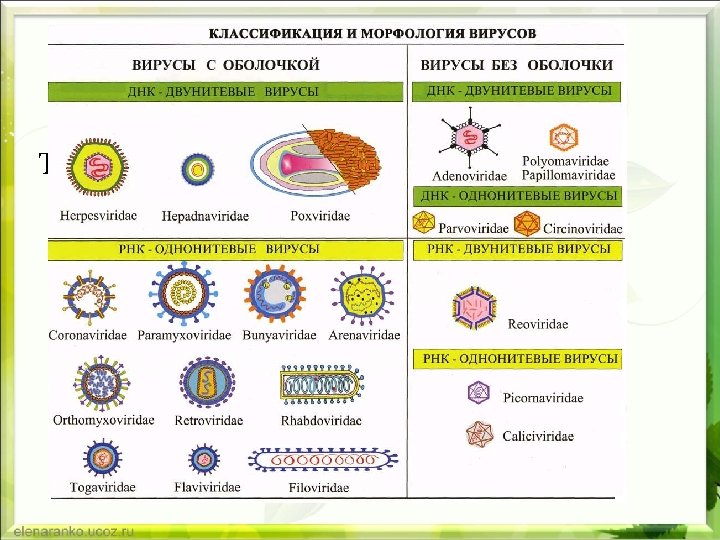 Текст слайда 