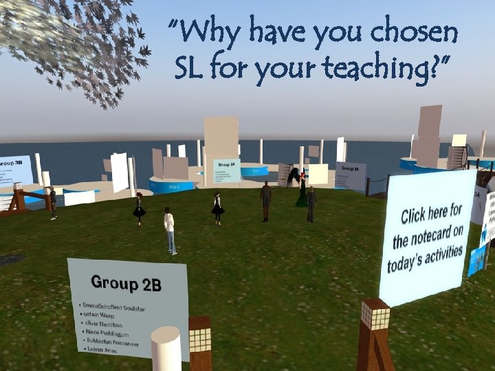 “Why have you chosen SL for your teaching? ” 