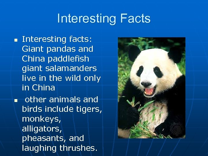 Interesting Facts n n Interesting facts: Giant pandas and China paddlefish giant salamanders live