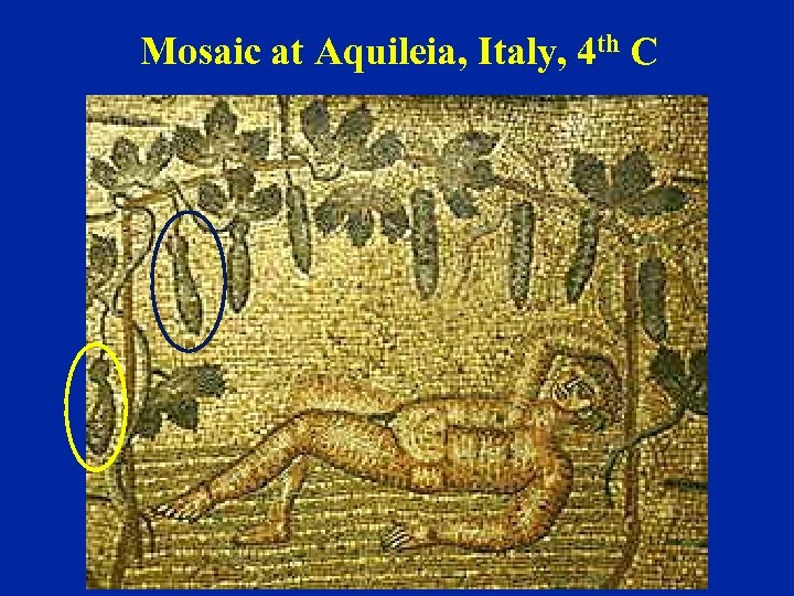Mosaic at Aquileia, Italy, 4 th C 