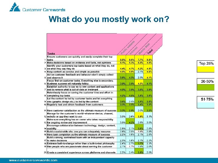 What do you mostly work on? 