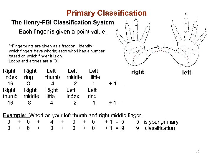 Primary Classification The Henry-FBI Classification System Each finger is given a point value. **Fingerprints