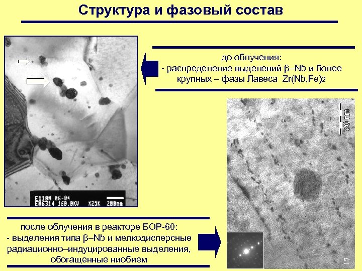 Структура и фазовый состав до облучения: - распределение выделений β–Nb и более крупных –