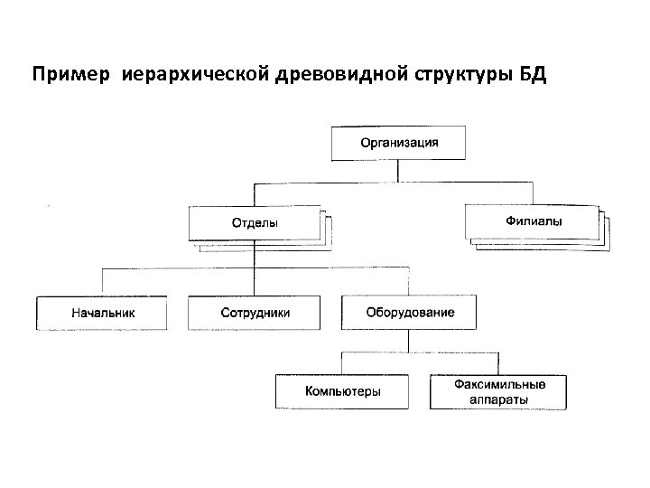 Примером иерархического способа организации данных является