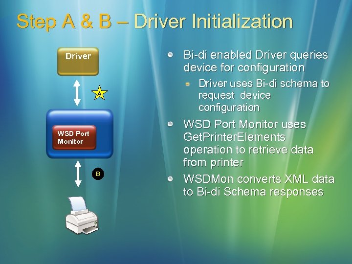 Step A & B – Driver Initialization Bi-di enabled Driver queries device for configuration