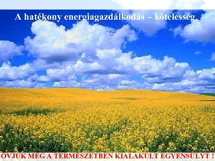 A hatékony energiagazdálkodás – kötelesség ÓVJUK MEG A TERMÉSZETBEN KIALAKULT EGYENSÚLYT ! 