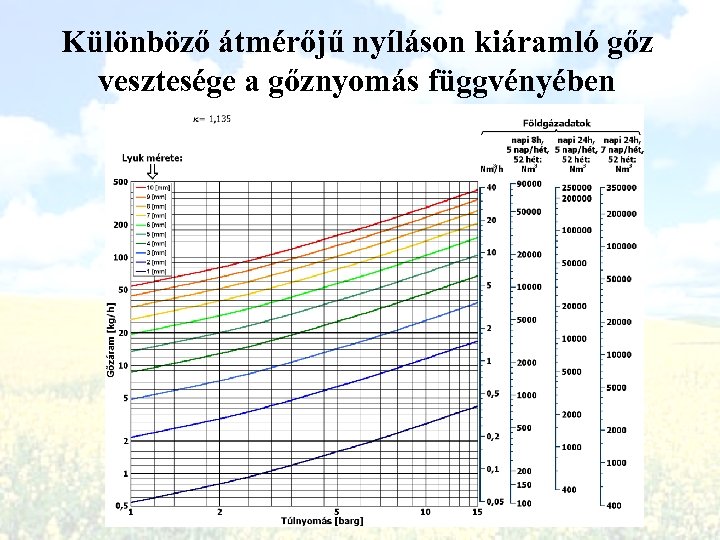 Különböző átmérőjű nyíláson kiáramló gőz vesztesége a gőznyomás függvényében 