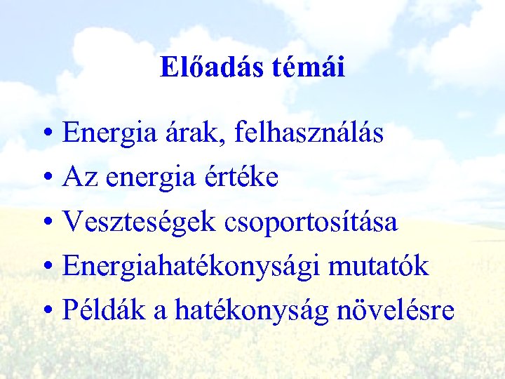 Előadás témái • Energia árak, felhasználás • Az energia értéke • Veszteségek csoportosítása •